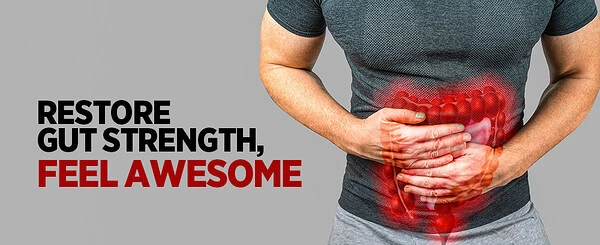 Gut Punch: The Permeability Problem